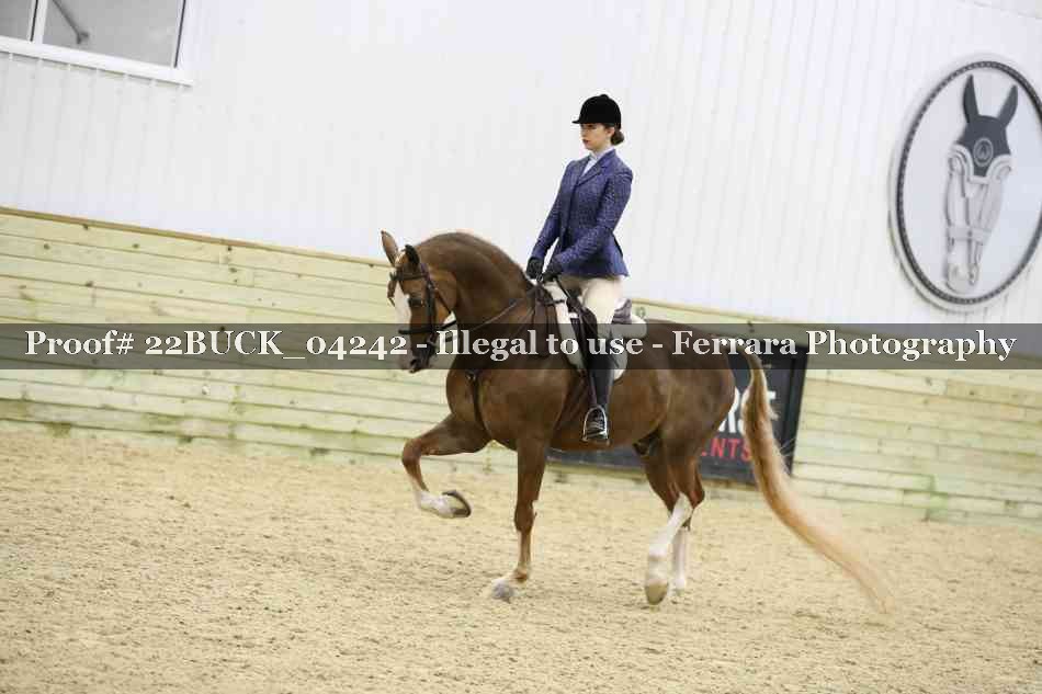 Proof 22BUCK_04242