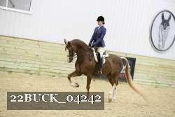 22BUCK_04242 proof