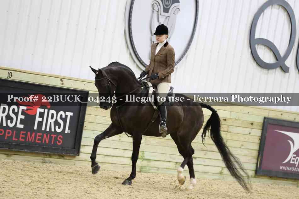 Proof 22BUCK_04243