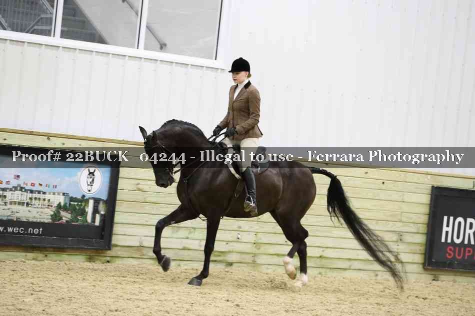 Proof 22BUCK_04244