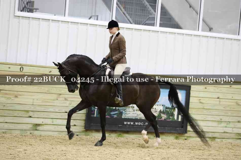 Proof 22BUCK_04245