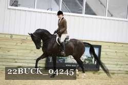 22BUCK_04245 proof