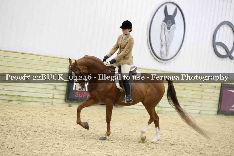 Proof 22BUCK_04246