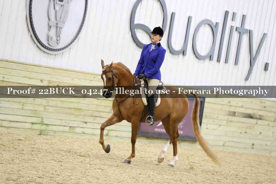 Proof 22BUCK_04247