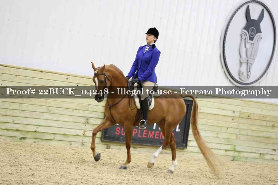 Proof 22BUCK_04248
