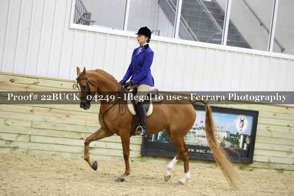 Proof 22BUCK_04249
