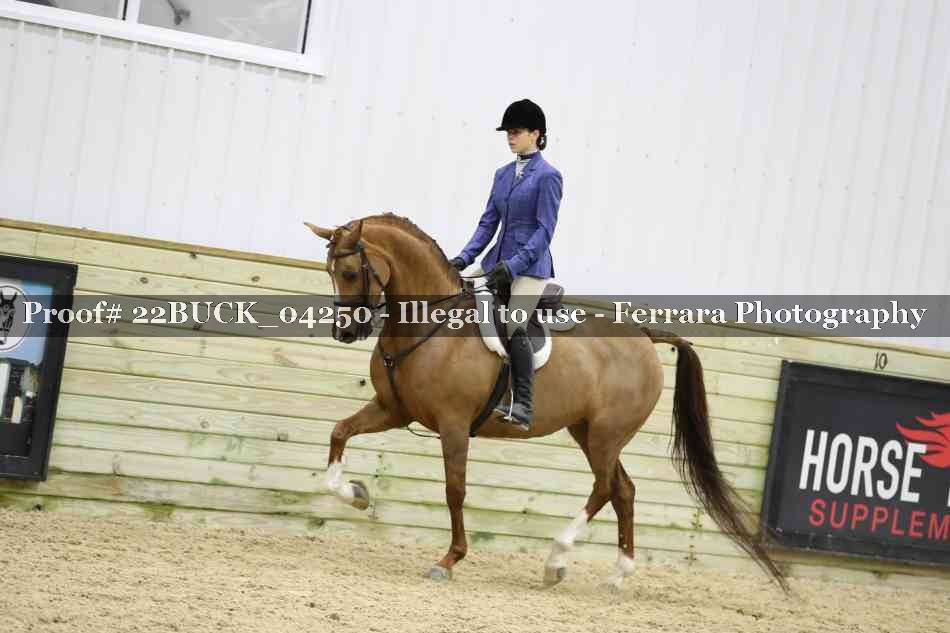 Proof 22BUCK_04250