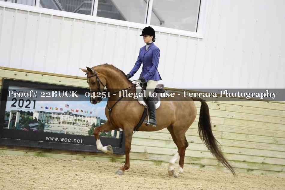 Proof 22BUCK_04251