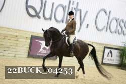 22BUCK_04253 proof