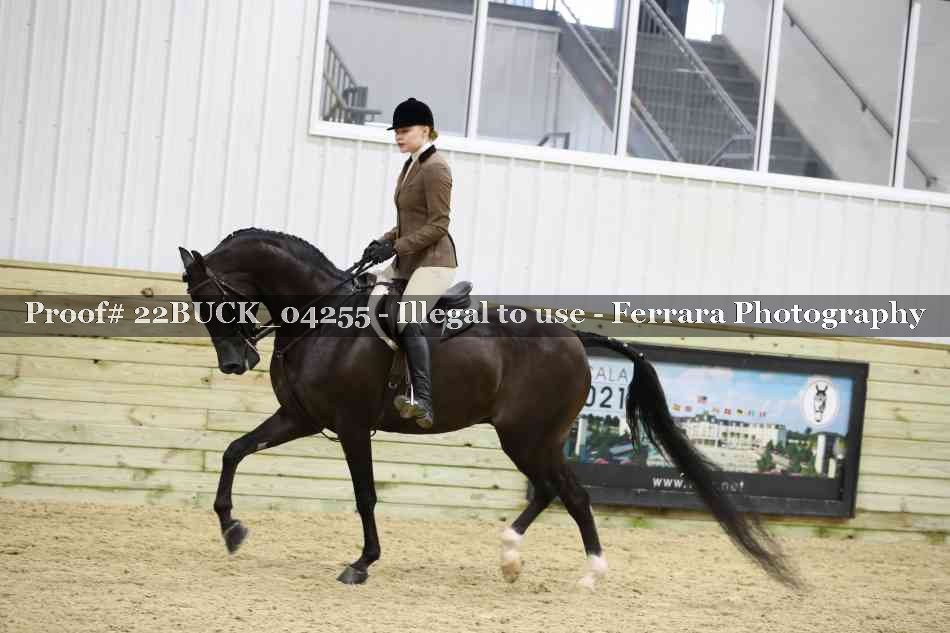 Proof 22BUCK_04255
