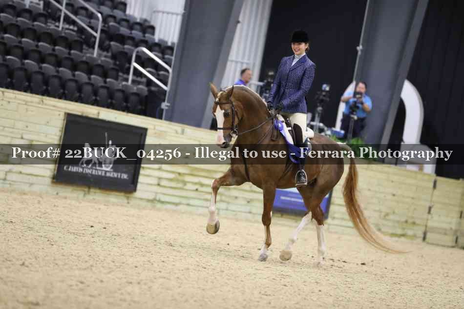 Proof 22BUCK_04256