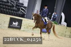 22BUCK_04256 proof