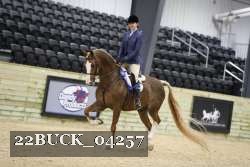 22BUCK_04257 proof