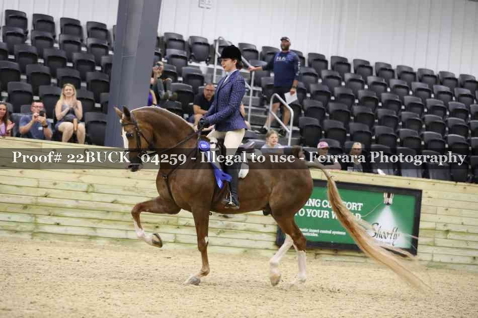 Proof 22BUCK_04259