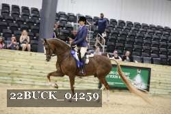 22BUCK_04259 proof