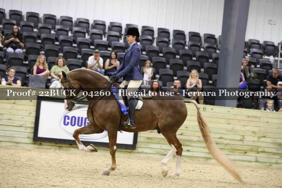 Proof 22BUCK_04260