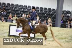 22BUCK_04260 proof