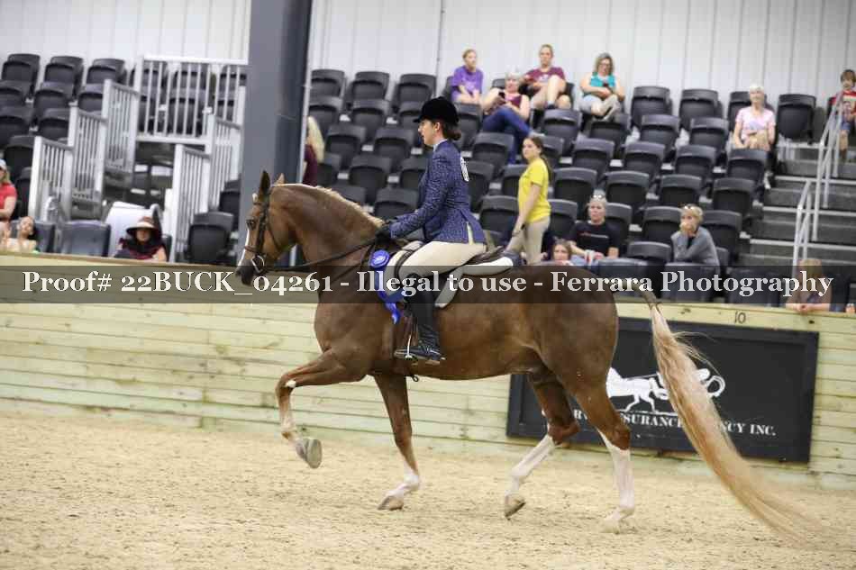 Proof 22BUCK_04261