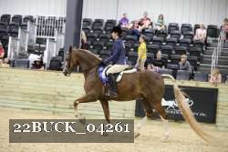 22BUCK_04261 proof