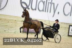 22BUCK_04262 proof