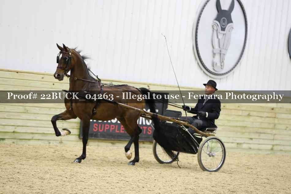 Proof 22BUCK_04263