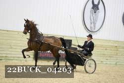 22BUCK_04263 proof