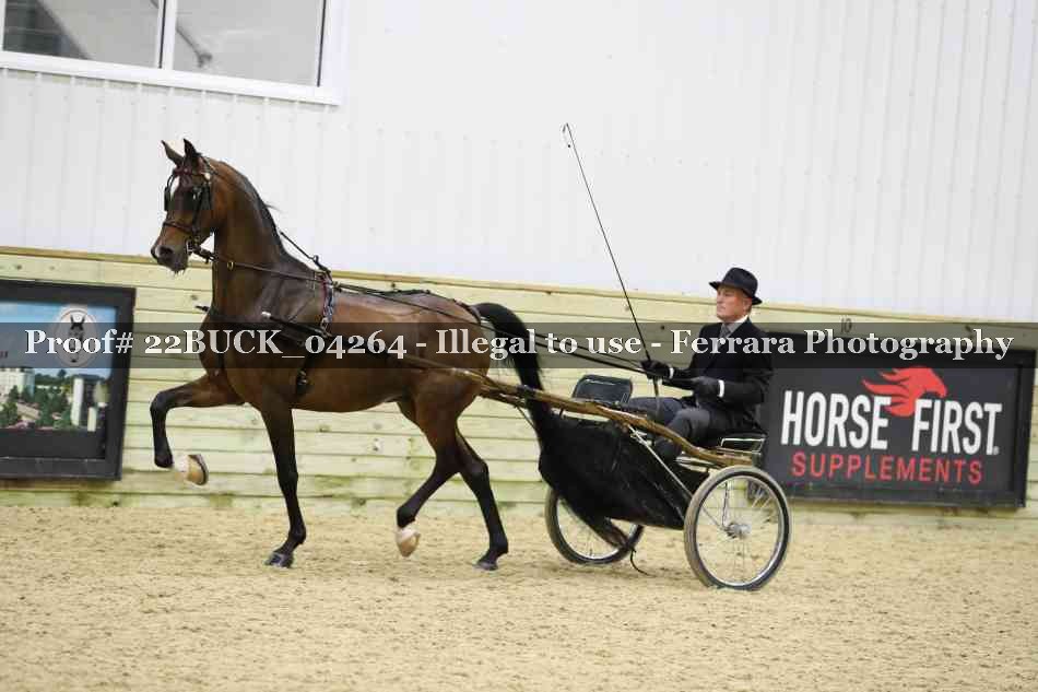 Proof 22BUCK_04264