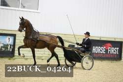 22BUCK_04264 proof