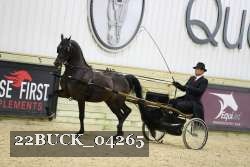 22BUCK_04265 proof