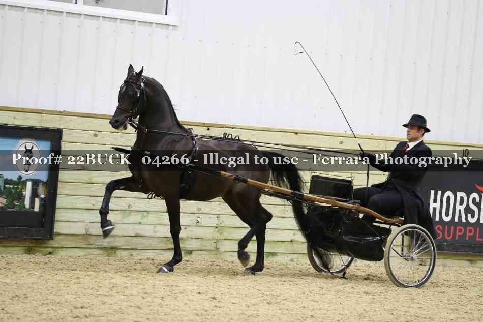 Proof 22BUCK_04266