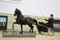 22BUCK_04266 proof