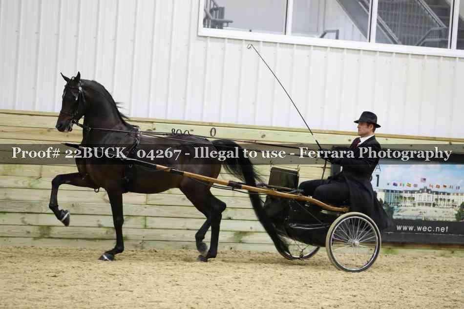 Proof 22BUCK_04267