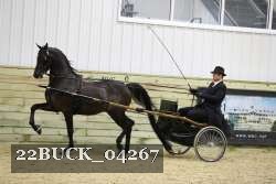 22BUCK_04267 proof
