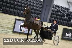 22BUCK_04268 proof