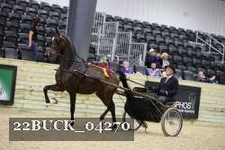 22BUCK_04270 proof