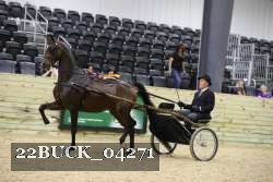 22BUCK_04271 proof