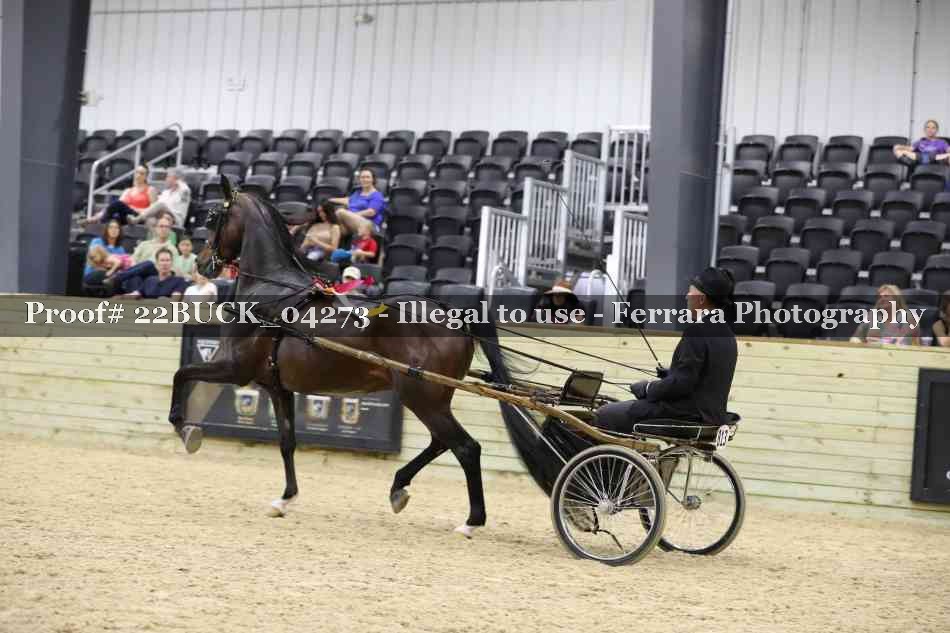 Proof 22BUCK_04273