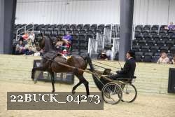22BUCK_04273 proof