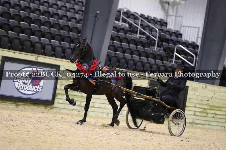 Proof 22BUCK_04274