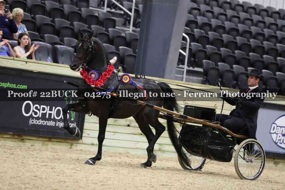 Proof 22BUCK_04275