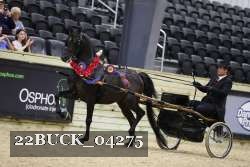 22BUCK_04275 proof
