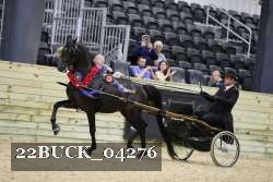 22BUCK_04276 proof
