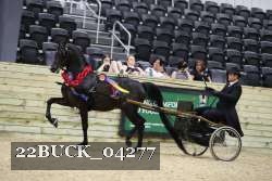 22BUCK_04277 proof
