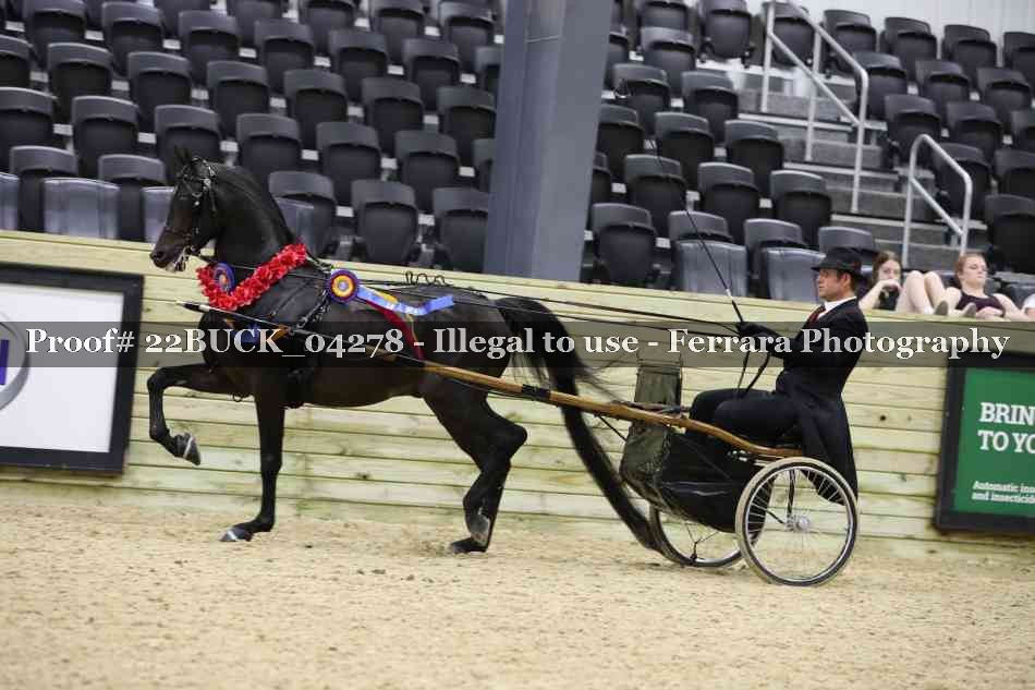 Proof 22BUCK_04278