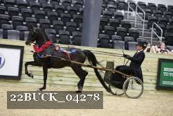 22BUCK_04278 proof