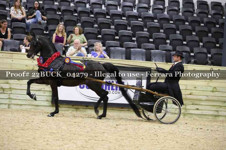 Proof 22BUCK_04279
