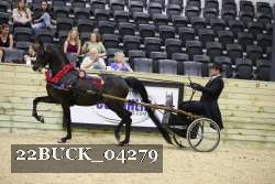 22BUCK_04279 proof
