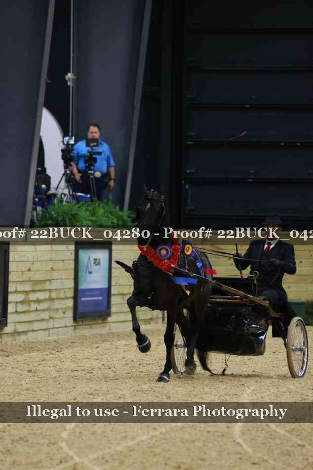 Proof 22BUCK_04280