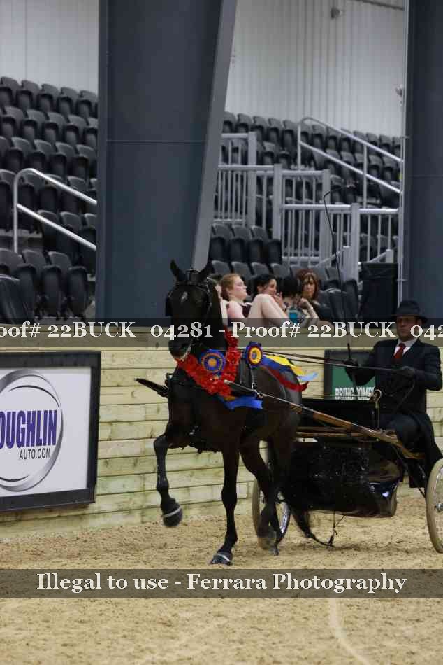 Proof 22BUCK_04281