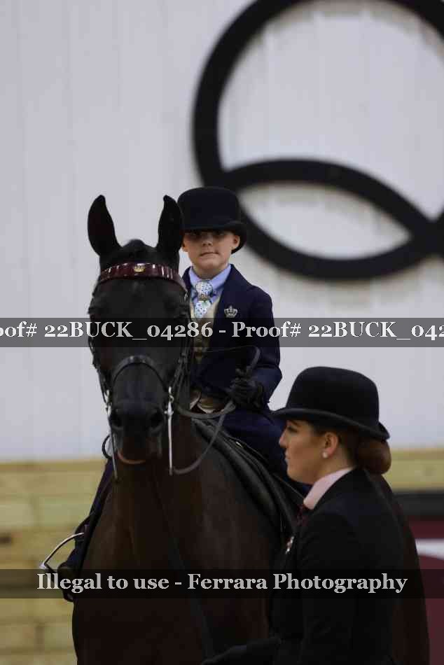 Proof 22BUCK_04286